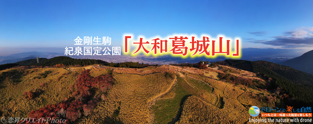空と山の間で YAM-2201-78 ディズニー ランプシェードパズル スイート
